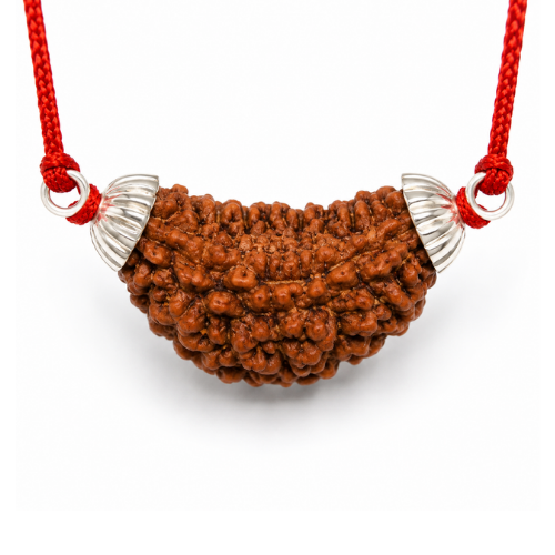Natural 1 Mukhi Rudraksha Java