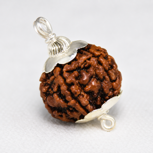 Natural 5 Mukhi Rudraksha - Nepal