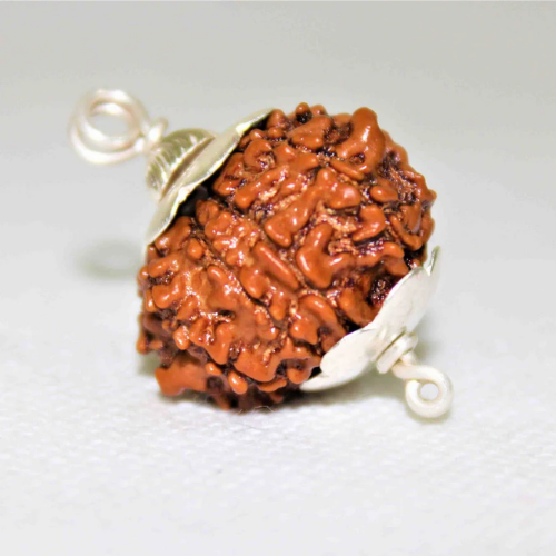 Natural 9 Mukhi Rudraksha - Nepal